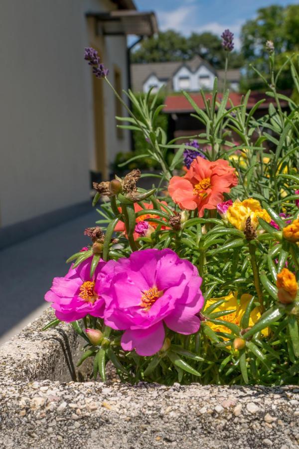 Mikes Vendeghaz Hotel Balatonfüred Zewnętrze zdjęcie